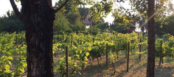 Villa T4 em Maratea, Italy N.º 67466 20