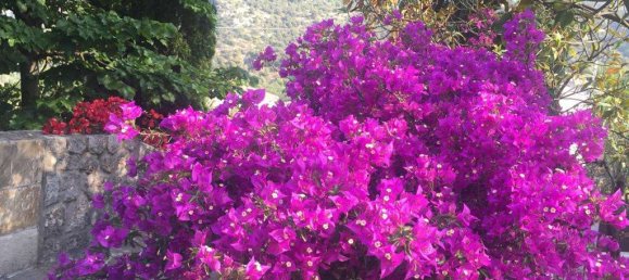 Villa T4 em Maratea, Italy N.º 67466 18