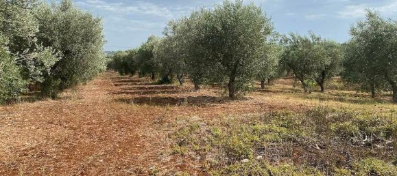 3-salle Villa à Martina Franca, Italy No. 153640 22