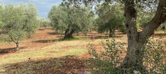 3-salle Villa à Martina Franca, Italy No. 153640 5