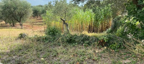 3-salle Villa à Martina Franca, Italy No. 153640 20