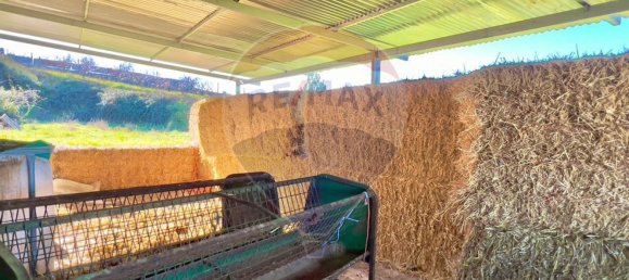 37000m² Land in Ferro, Portugal No. 70377 22