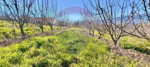 37000m² Land in Ferro, Portugal No. 70377 8