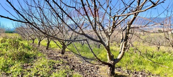 37000m² Land in Ferro, Portugal No. 70377 10