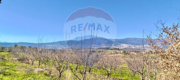 37000m² Land in Ferro, Portugal No. 70377 9