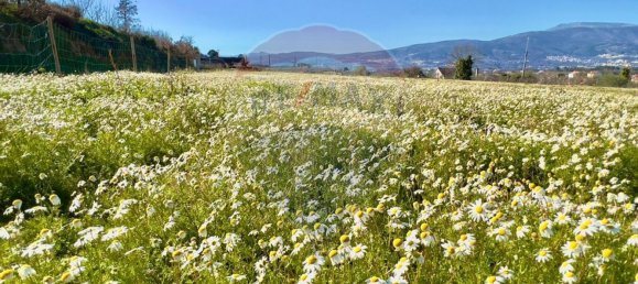 37000m² Land in Ferro, Portugal No. 70377 15