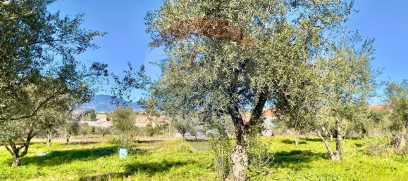 37000m² Land in Ferro, Portugal No. 70377 13