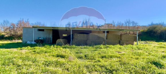 37000m² Land in Ferro, Portugal No. 70377 5