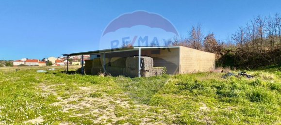 37000m² Land in Ferro, Portugal No. 70377 14