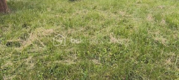 Terreno en Haut-Rhin, France No. 58156 5