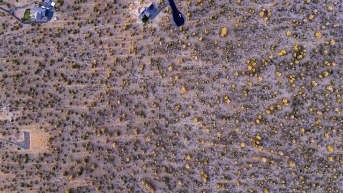  Land in Terrebonne, USA No. 497751