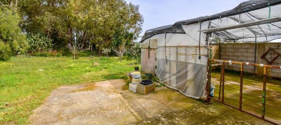 3 rooms Villa in Porto Cesareo, Italy No. 43326 30