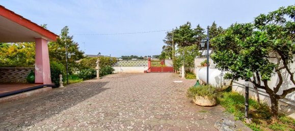 3 rooms Villa in Porto Cesareo, Italy No. 43326 31