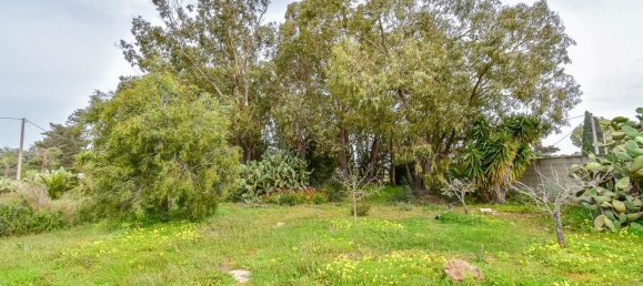 3 rooms Villa in Porto Cesareo, Italy No. 43326 27