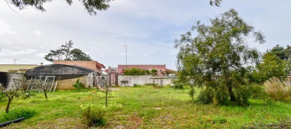 3 rooms Villa in Porto Cesareo, Italy No. 43326 43