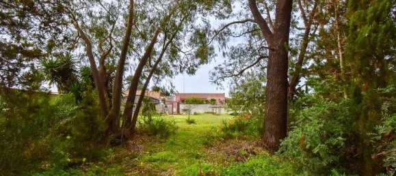 3 rooms Villa in Porto Cesareo, Italy No. 43326 28