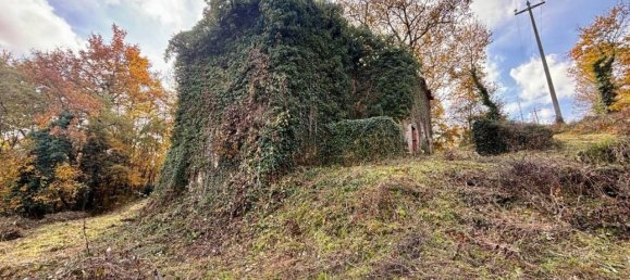 10 rooms House in Monte Castello di Vibio, Italy No. 75749 18