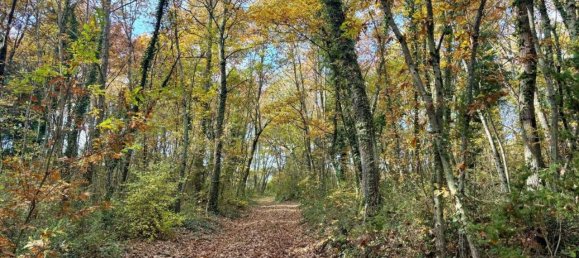 10 rooms House in Monte Castello di Vibio, Italy No. 75749 14