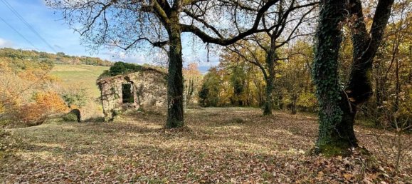 10 rooms House in Monte Castello di Vibio, Italy No. 75749 34