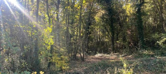 10 rooms House in Monte Castello di Vibio, Italy No. 75749 20