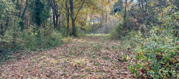 10 rooms House in Monte Castello di Vibio, Italy No. 75749 37