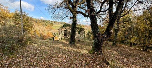 10 rooms House in Monte Castello di Vibio, Italy No. 75749 32