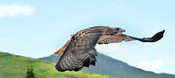 Коммерческая недвижимость в Леоганг, Австрия № 128854 7