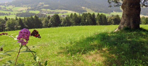 Коммерческая недвижимость в Леоганг, Австрия № 128854 6