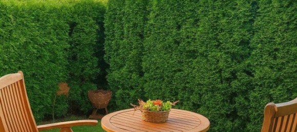 2 rooms Apartment in Salzburg, Austria No. 254489 2