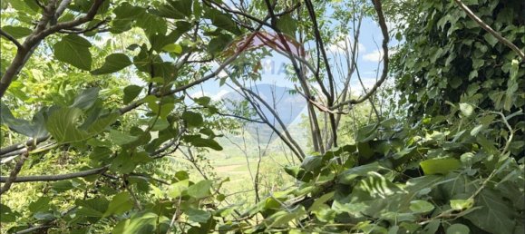 5غرفة منزل في Frisa, Italy رقم 278923 9