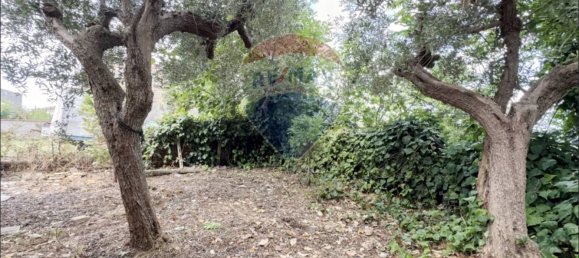 5غرفة منزل في Frisa, Italy رقم 278923 7