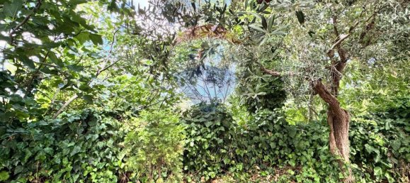 5غرفة منزل في Frisa, Italy رقم 278923 6