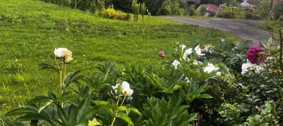 7 rooms House in Rotenturm an der Pinka, Austria No. 213819 36