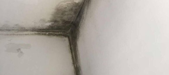 2 bedrooms Apartment in Rozzano, Italy No. 276251 17