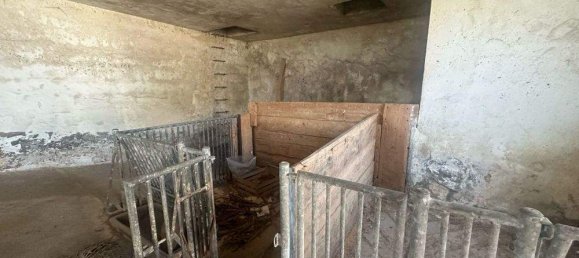 2-Zimmer Haus in Rohrbach-Berg, Austria, Nr. 187409 7