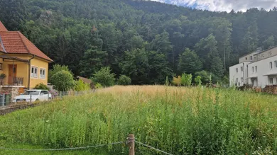 Земельный участок в Зенфтенберг, Австрия № 202215