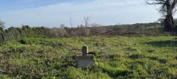 Земельный участок 460м² в Марта, Италия № 302756 6