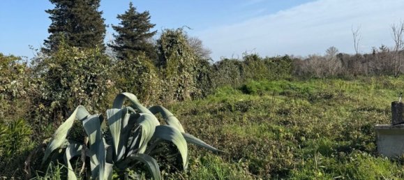 Земельный участок 460м² в Марта, Италия № 302756 3