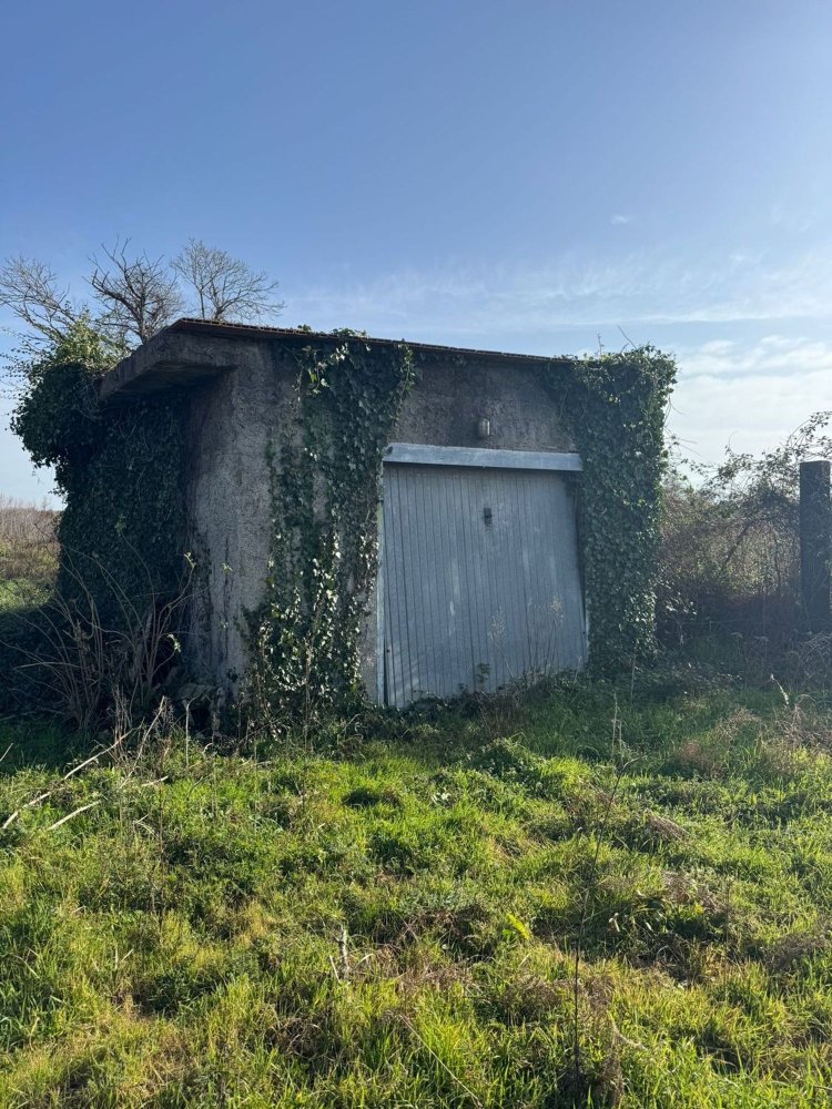 Земельный участок 460м² в Марта, Италия № 302756