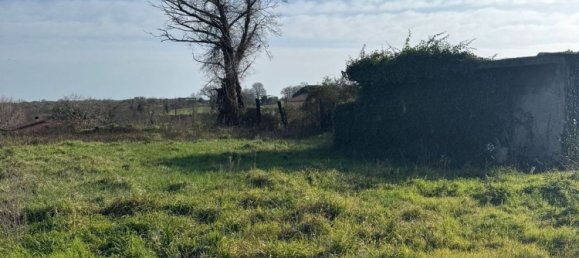 Земельный участок 460м² в Марта, Италия № 302756 2