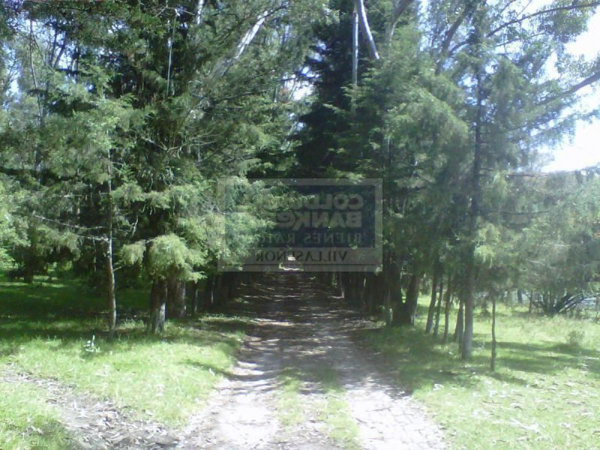 Bâtiment à Mexico No. 200437