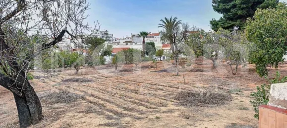  قطعة أرض في Portimao, Portugal رقم 62944 15