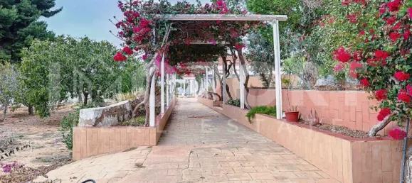  قطعة أرض في Portimao, Portugal رقم 62944 35