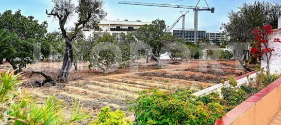  قطعة أرض في Portimao, Portugal رقم 62944 8