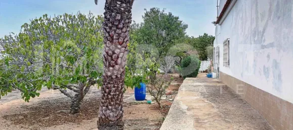  قطعة أرض في Portimao, Portugal رقم 62944 28