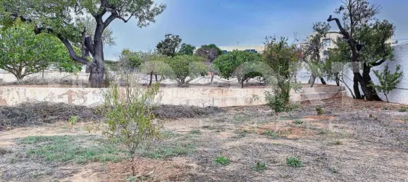  قطعة أرض في Portimao, Portugal رقم 62944 46