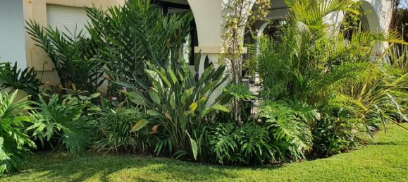 3 غرف نوم شقة في Marbella, Spain رقم 146508 11