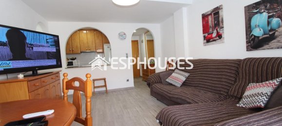 3 chambres Appartement à Guardamar del Segura, Spain No. 183349 2