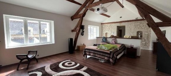 3 bedrooms House in Parcay-sur-Vienne, France No. 335552 20