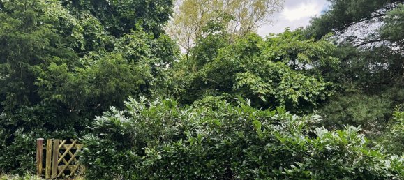 5 rooms Townhouse in Nordwestmecklenburg, Germany No. 153982 4